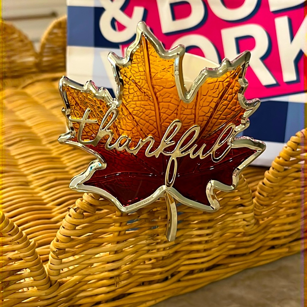 New for 2022 autumn wallflowers plug from Bath and Body Works